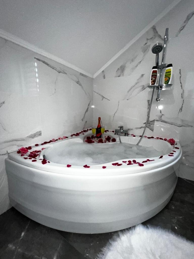 אוטוצאץ Luxury Apartment Megy מראה חיצוני תמונה