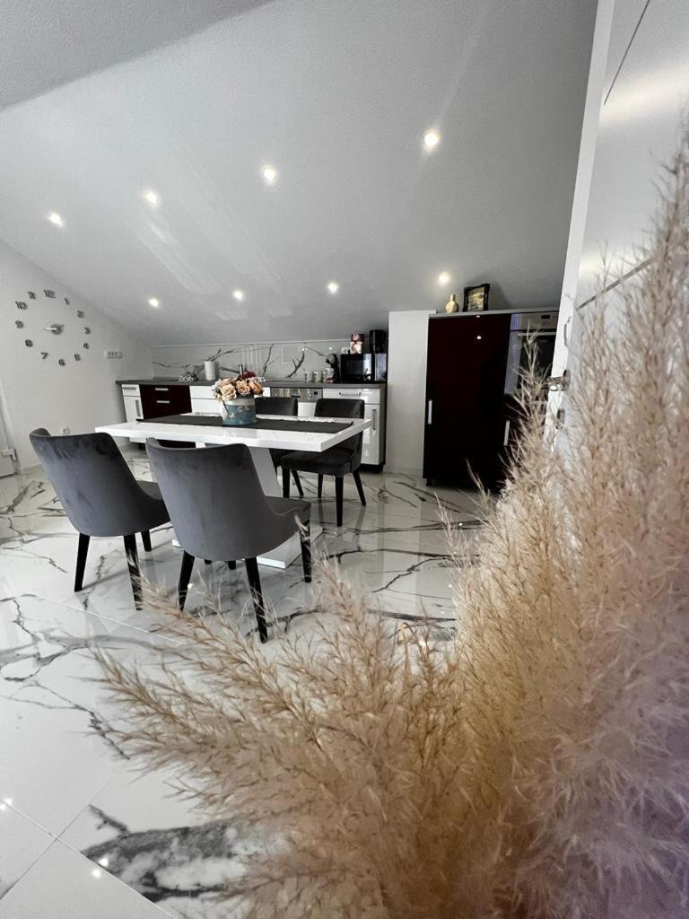 אוטוצאץ Luxury Apartment Megy מראה חיצוני תמונה