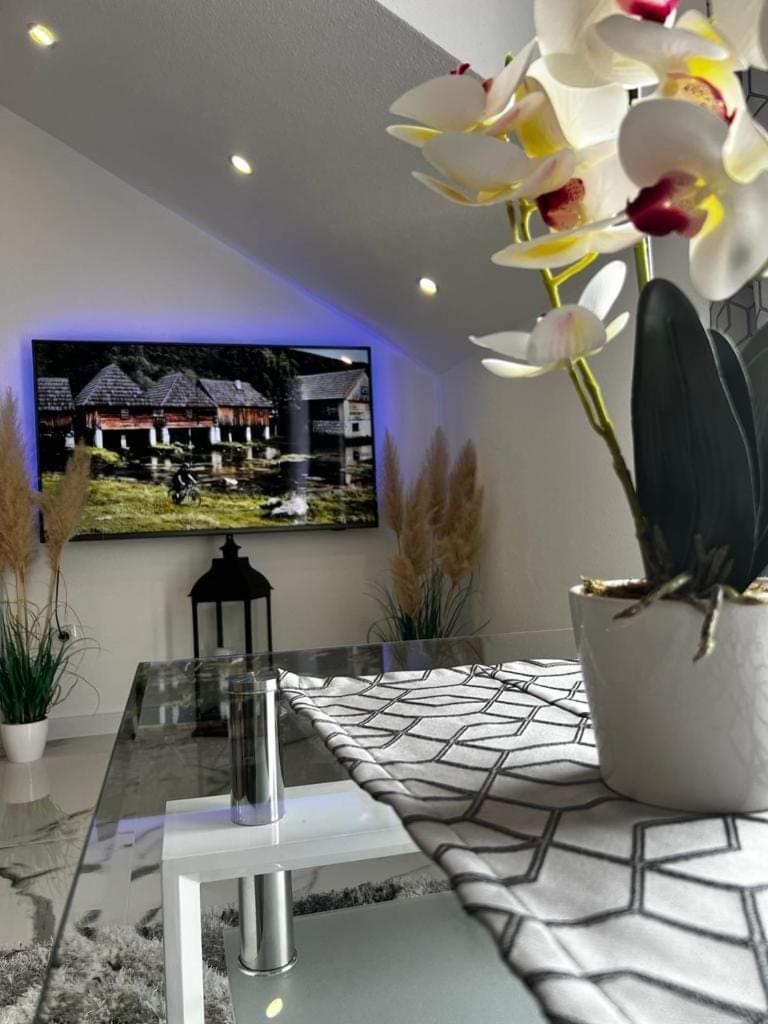 אוטוצאץ Luxury Apartment Megy מראה חיצוני תמונה