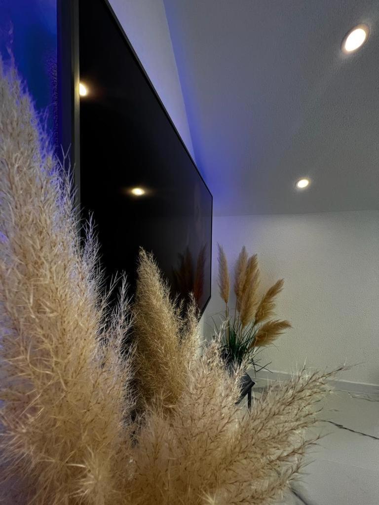 אוטוצאץ Luxury Apartment Megy מראה חיצוני תמונה